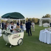 Gelato Cart Dubai 10