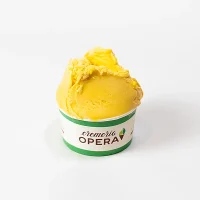 Artisanal mango gelato cup by Cremeria Opera