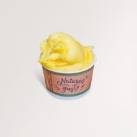 ice cream cup passion fruit